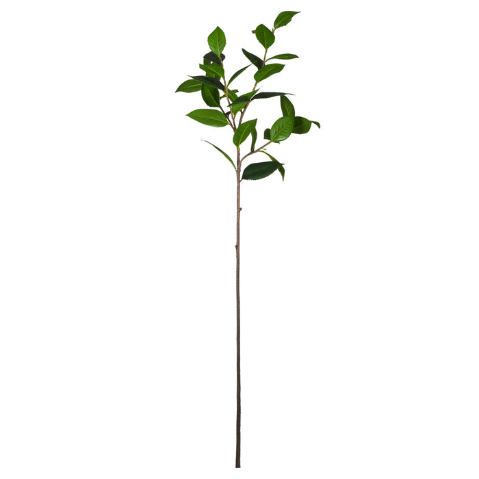 Rogue Tea Leaves Spray Green