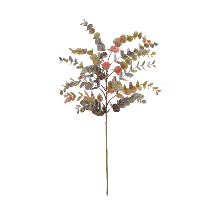Rogue Eucalyptus Spray Silver & Red