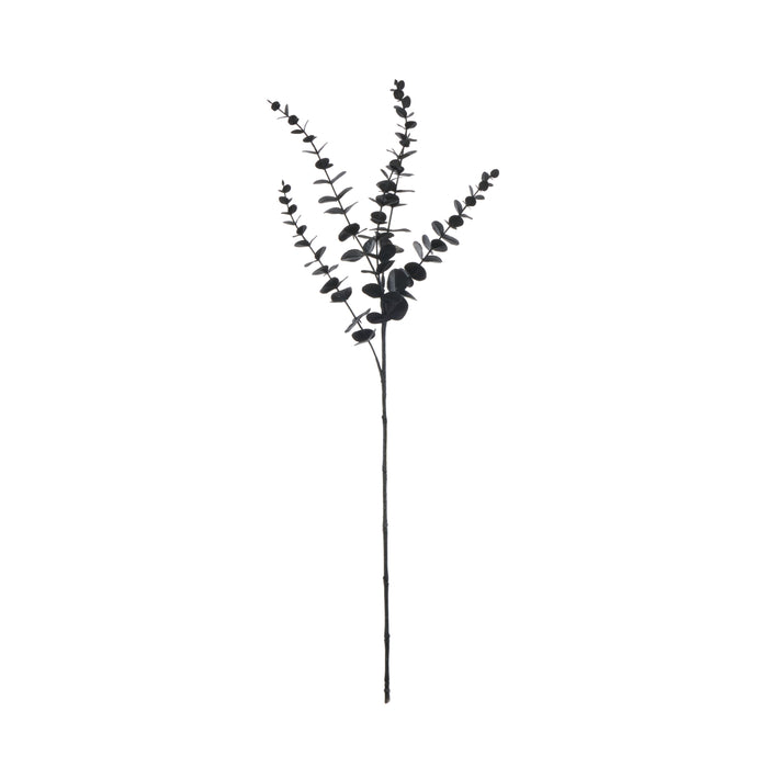Rogue Eucalyptus Spray Black