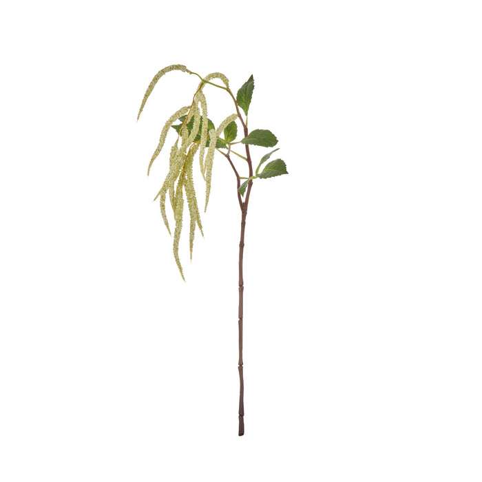Rogue Hanging Amaranthus Spray Cream