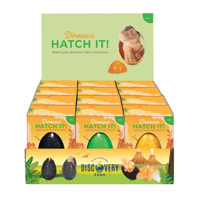 Discovery Zone Hatch It Dinosaur Large CDU 12pcs/3 Assorted