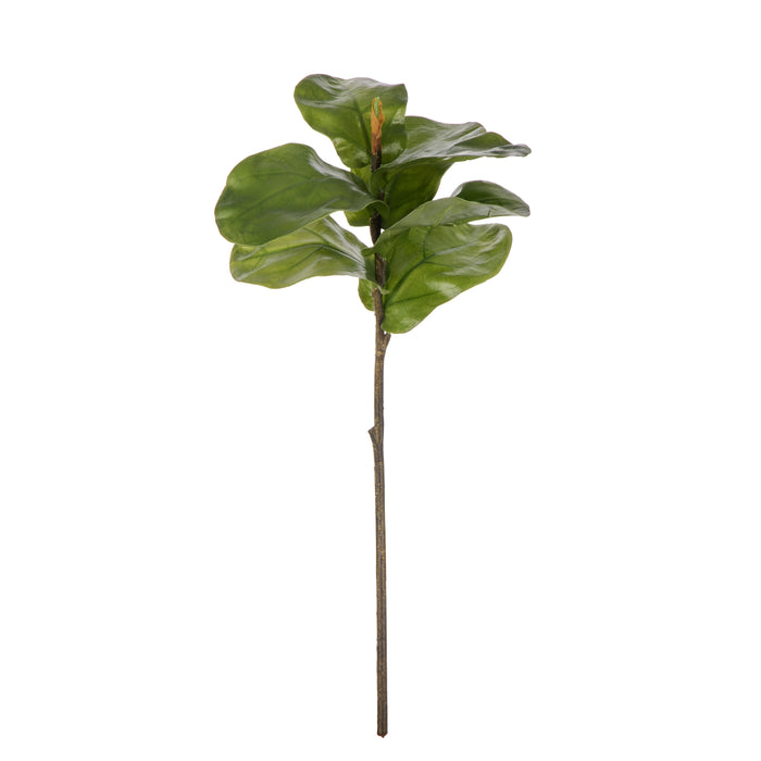 Rogue Fiddle Leaf Spray Green