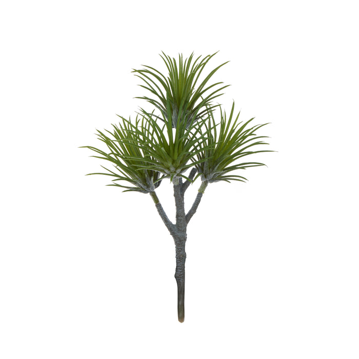 Rogue Air Plant Spray Green