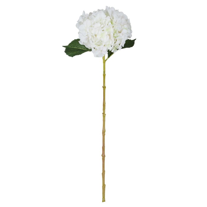 Rogue Hydrangea Stem White