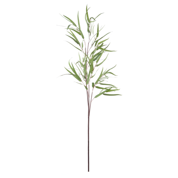Rogue Eucalyptus Spray Green
