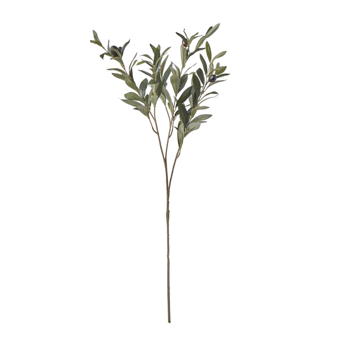 Rogue Olive Spray Green