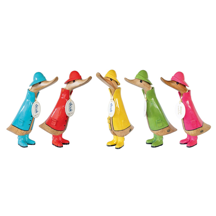 DCUK Duckling Raincoat 5 Assorted