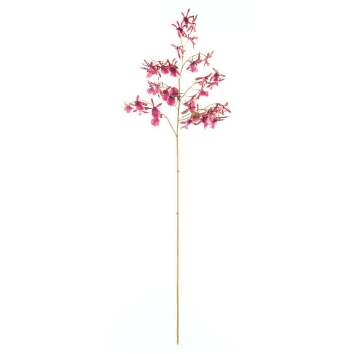 Rogue Dendrobium Orchid Stem Burgundy