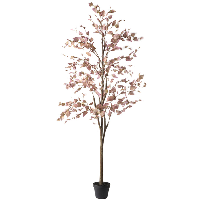 Rogue Birch Tree Purple