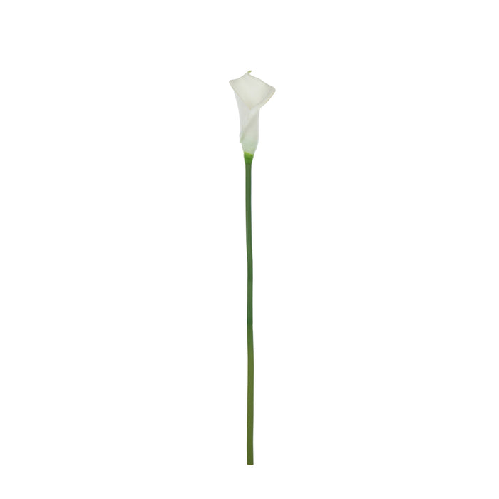 Rogue Calla Lily Stem White