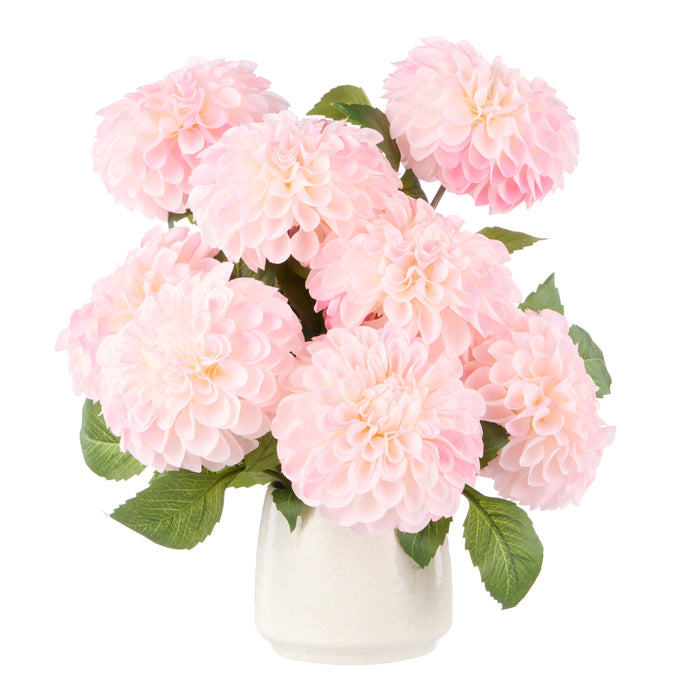 Rogue Chrysanthemum - Gianna Pot Pink