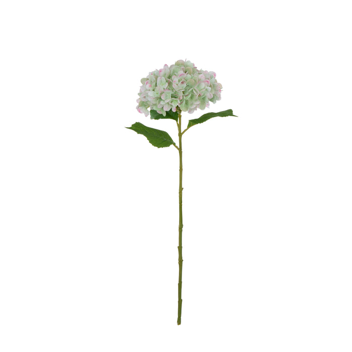 Rogue Hydrangea Stem Real Touch Green & White