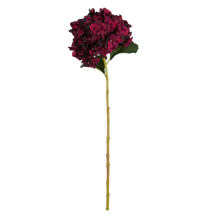 Rogue Hydrangea Stem Red