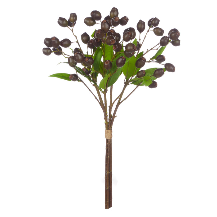 Rogue Olea Gum Nut Spray Bunch Purple
