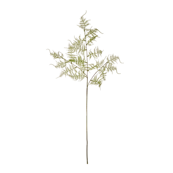 Rogue Fern Spray Green