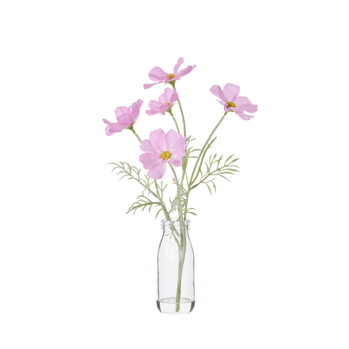 Rogue Cosmos in Milk Bottle Light Pink