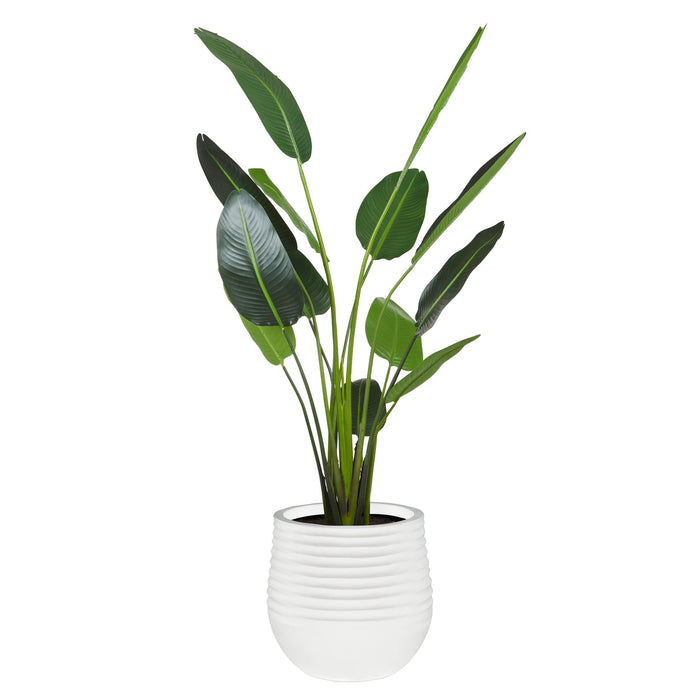 Rogue Bird Of Paradise - Ryker Planter Large Green & White
