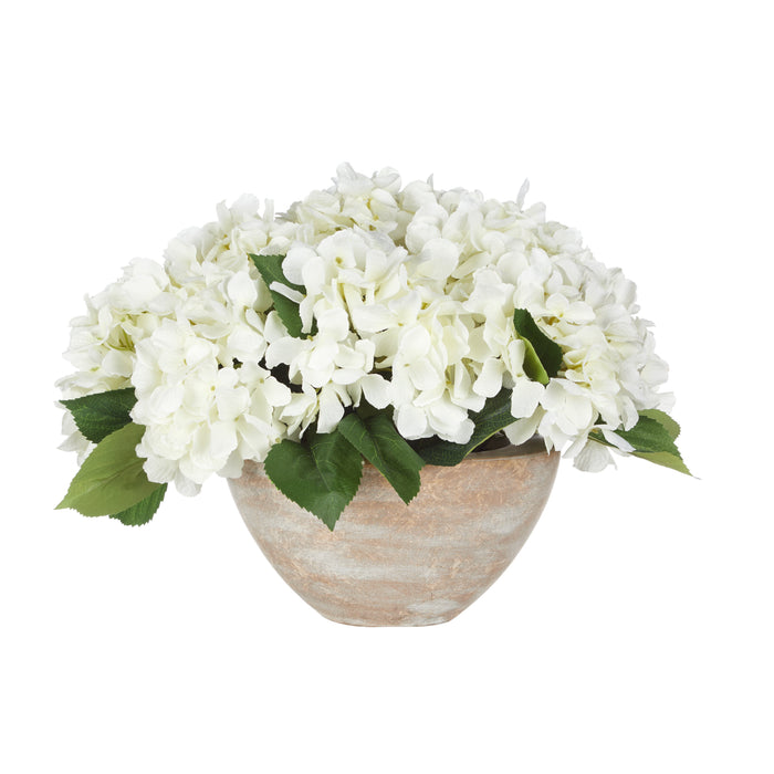 Rogue Hydrangea Bush - Earthenware Bowl White