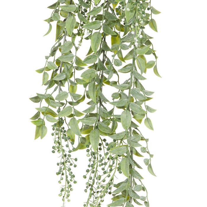 Rogue Budding Hanging Bush Grey Green