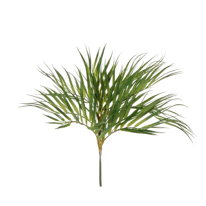 Rogue Phoenix Palm Green