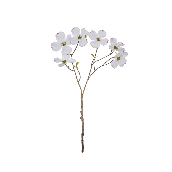 Rogue Dogwood Spray White