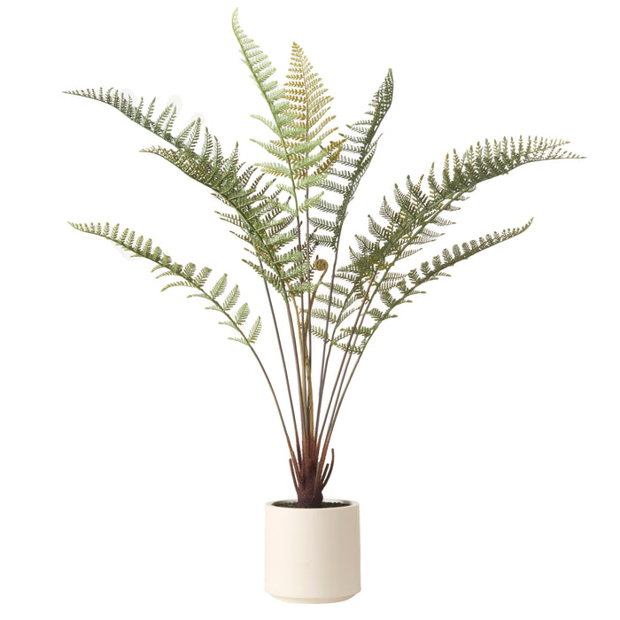Rogue Fern Pot Green