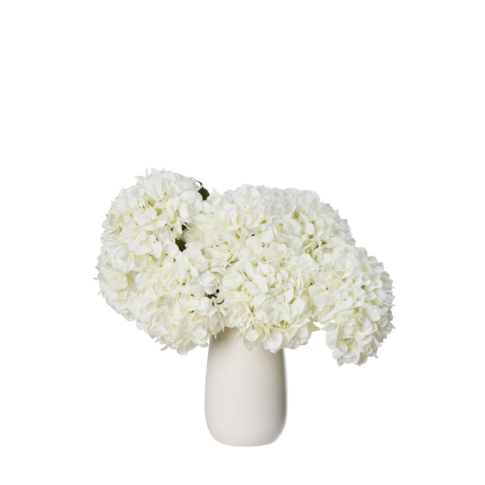 Rogue Hydrangea - Apollo Vessel White