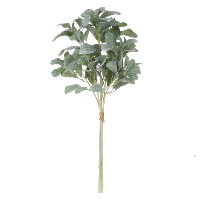 Rogue Lambs Ear Spray Bunch Green