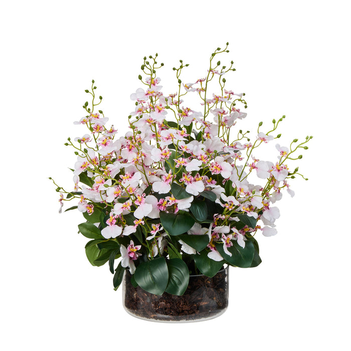 Rogue Dancing Orchid - Madelyn Bowl Pink