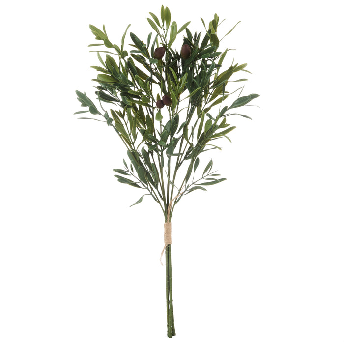 Rogue Olive Bunch Green