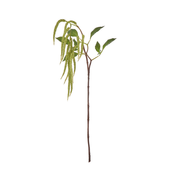 Rogue Hanging Amaranthus Spray Green