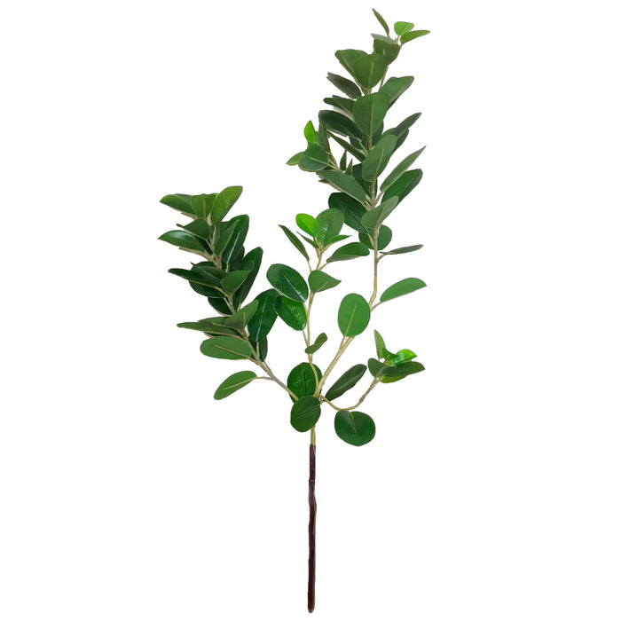 Rogue Oriental Ficus Branch Green