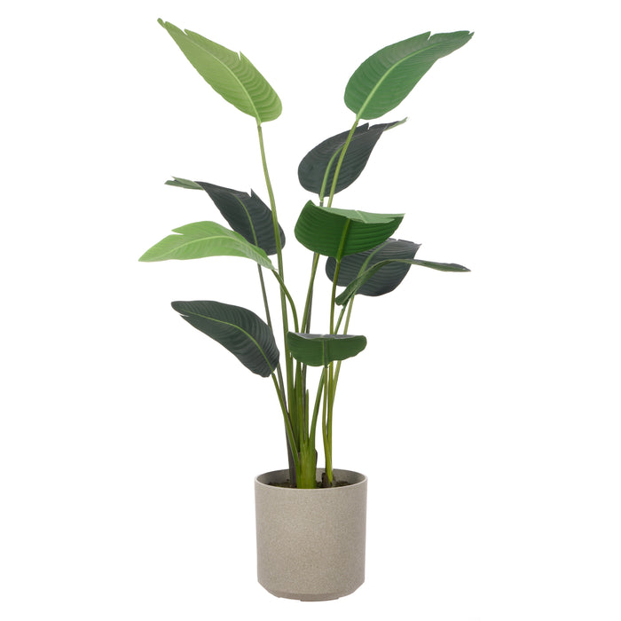 Rogue Giant Bird Of Paradise - Cylinder Planter Green