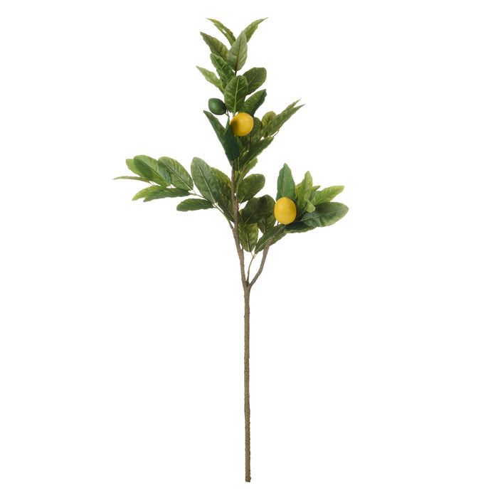 Rogue Lemon Spray Green