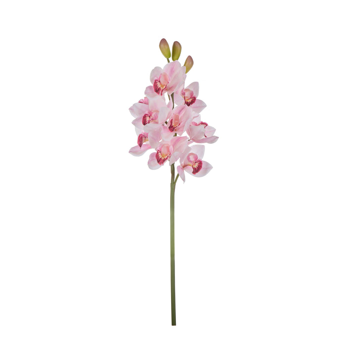 Rogue Cymbidium Spray Pink