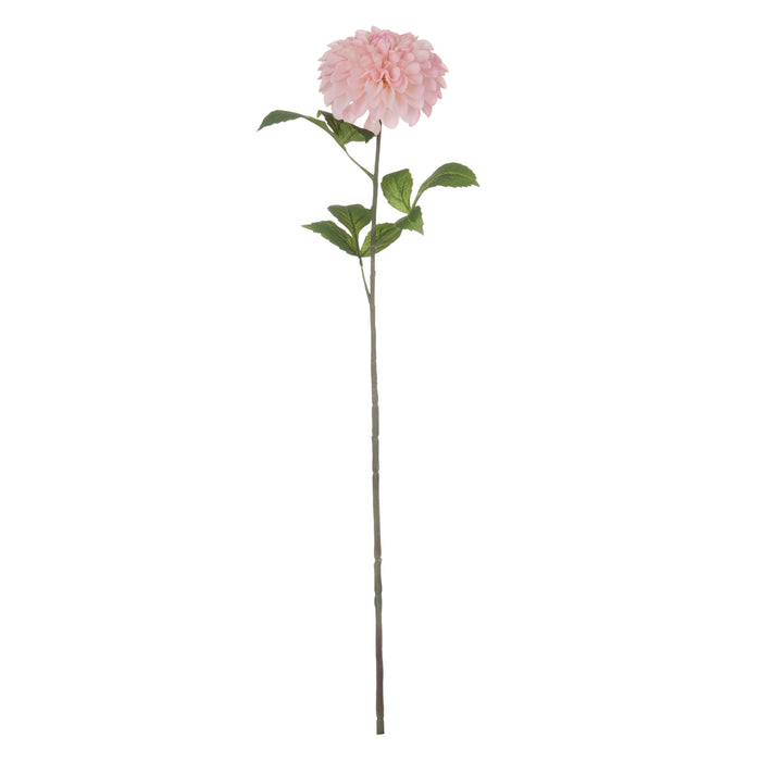 Rogue Chrysanthemum Stem Pink