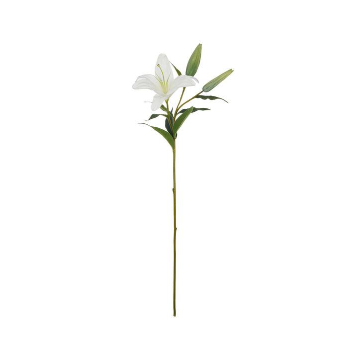 Rogue Casablanca Lily White