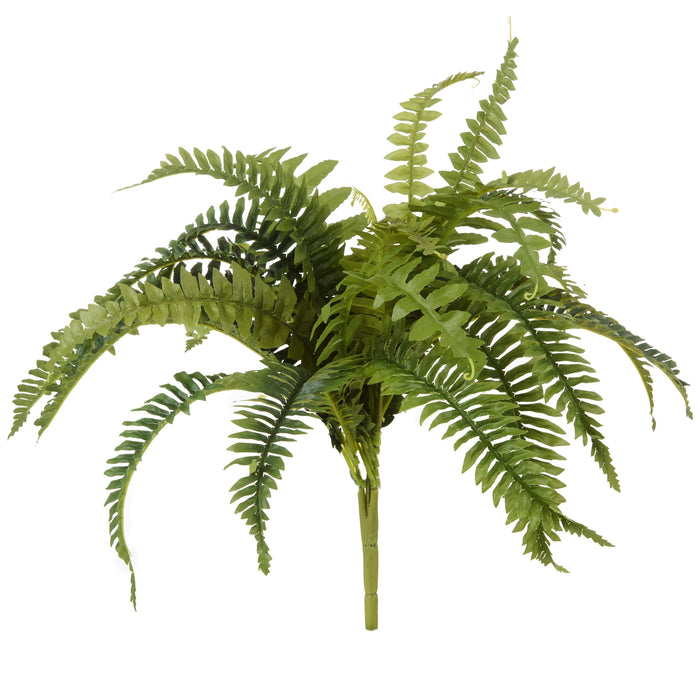 Rogue Boston Fern Bush Green