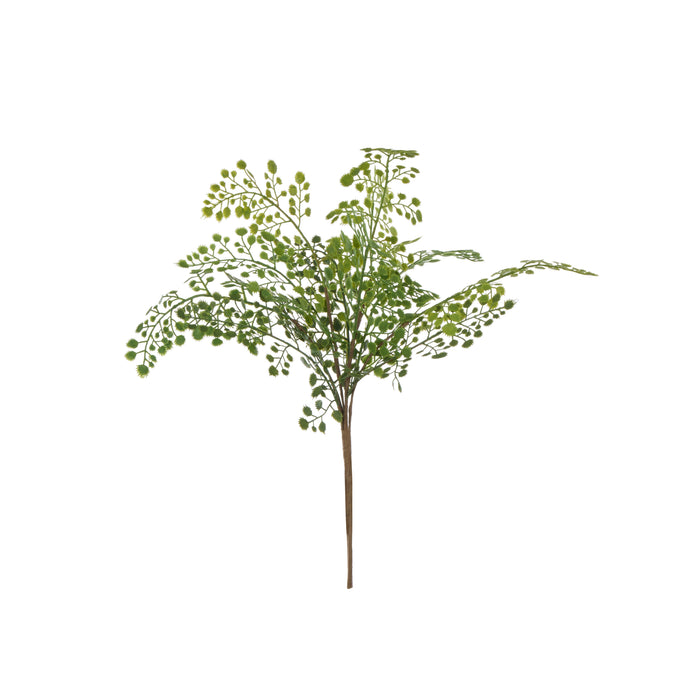 Rogue Maiden Hair Fern Green