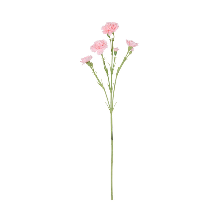 Rogue Carnation Spray Light Pink