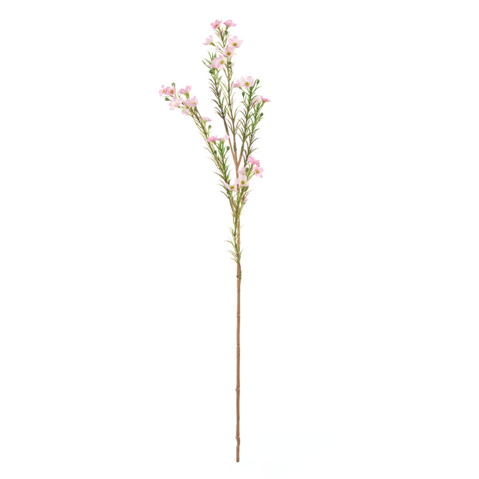Rogue Wax Flower Spray Pink