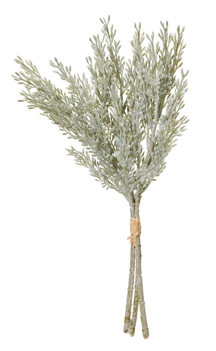 Rogue Dusty Miller Bundle Green/White