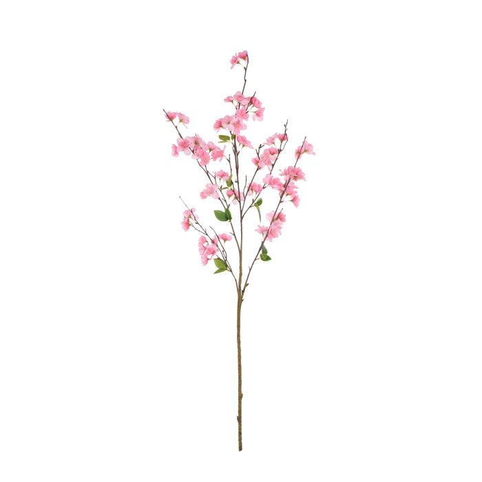 Rogue Cherry Blossom Spray Pink
