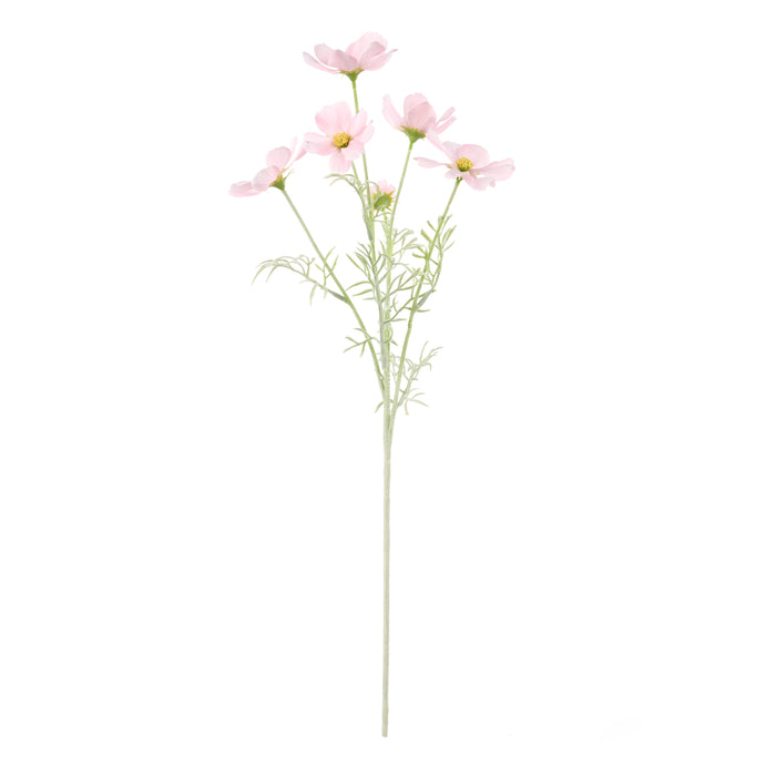 Rogue Cosmos Flower Spray Pink