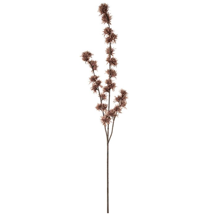 Rogue Deco Witch Hazel Spray Brown