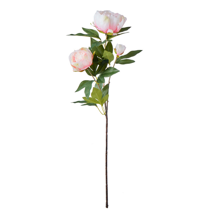 Rogue Peony Stem Soft Pink