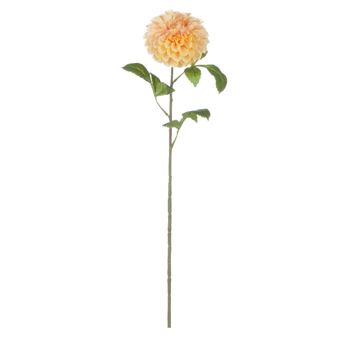 Rogue Chrysanthemum Stem Orange