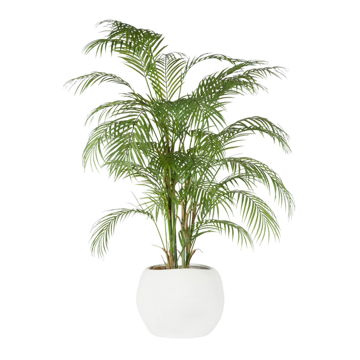 Rogue Phoenix Palm - Lyon Organic Planter Green & White