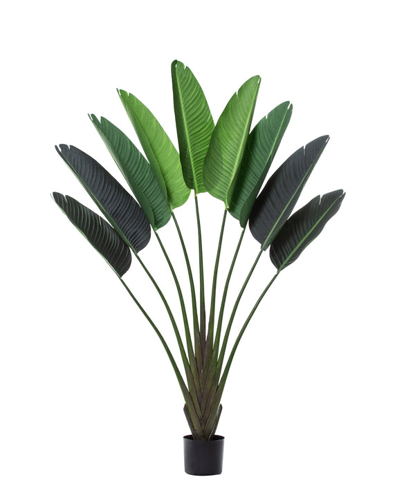 Rogue Travellers Palm Green