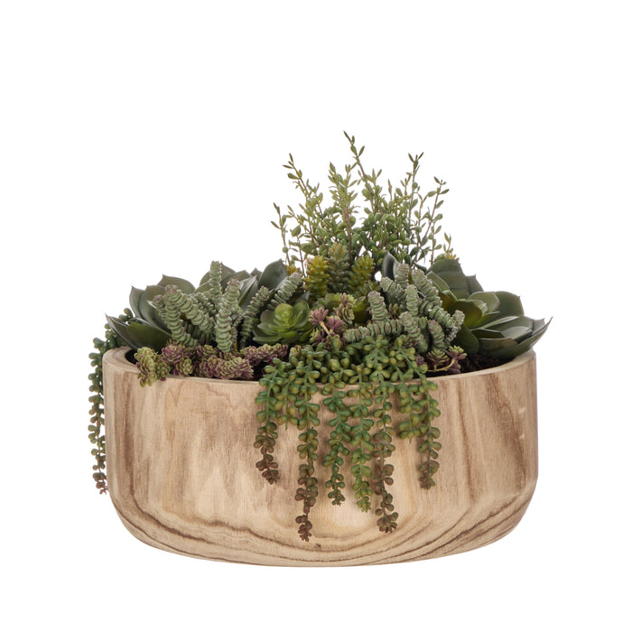 Rogue Jelly Bean Sedum Mix - Dansk Green & Burgundy